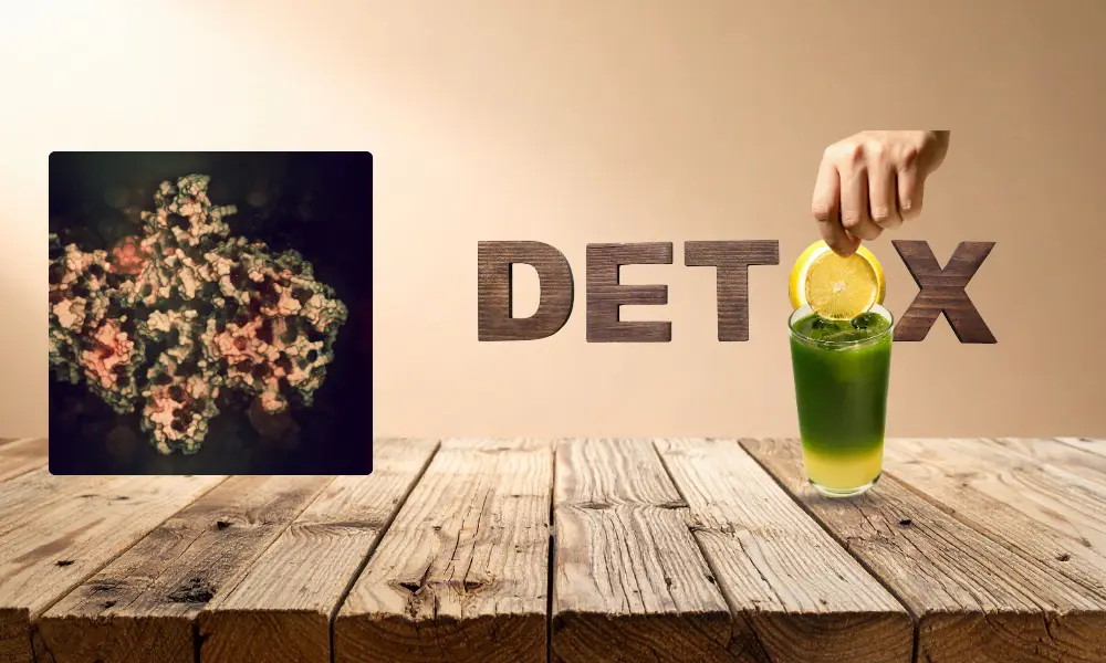 Odtruwanie organizmu